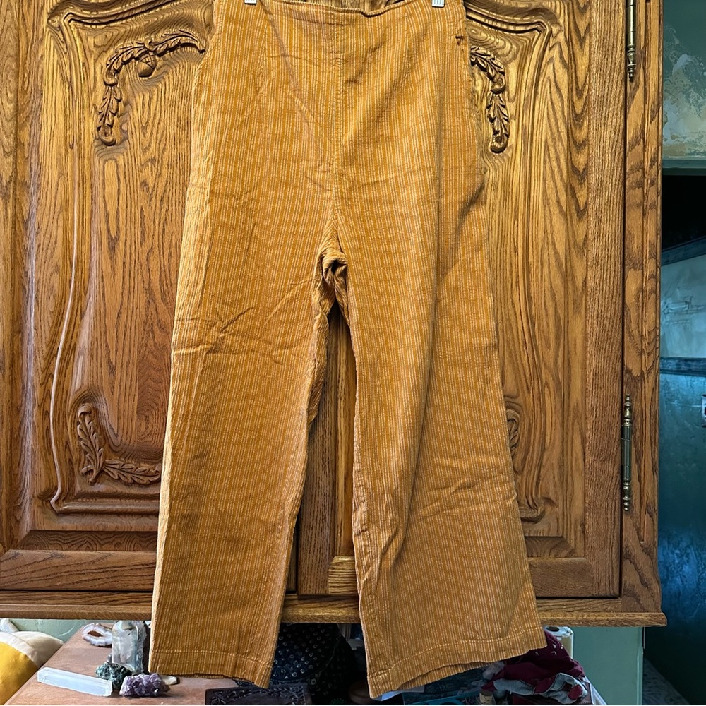 Ace & Jig Polly pant Umber sz L